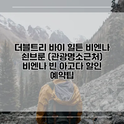 더블트리 바이 힐튼 비엔나 쇤브룬 (관광명소근처) 비엔나 빈 아고다 할인 예약팁