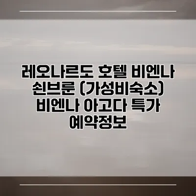 레오나르도 호텔 비엔나 쇤브룬 (가성비숙소) 비엔나 아고다 특가 예약정보