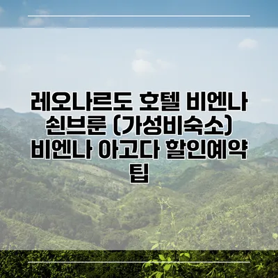 레오나르도 호텔 비엔나 쇤브룬 (가성비숙소) 비엔나 아고다 할인예약 팁