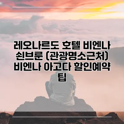 레오나르도 호텔 비엔나 쇤브룬 (관광명소근처) 비엔나 아고다 할인예약 팁