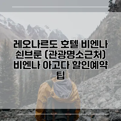 레오나르도 호텔 비엔나 쇤브룬 (관광명소근처) 비엔나 아고다 할인예약 팁