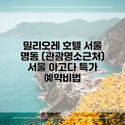 밀리오레 호텔 서울 명동 (관광명소근처) 서울 아고다 특가 예약비법