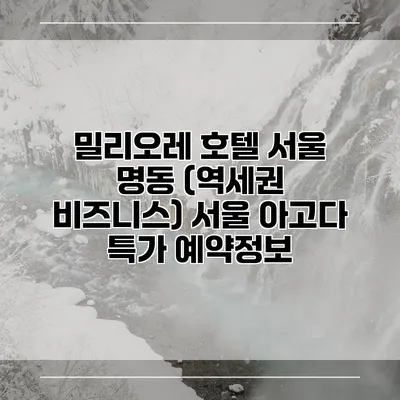 밀리오레 호텔 서울 명동 (역세권 비즈니스) 서울 아고다 특가 예약정보