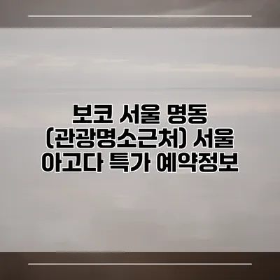 보코 서울 명동 (관광명소근처) 서울 아고다 특가 예약정보