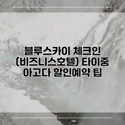 블루스카이 체크인 (비즈니스호텔) 타이중 아고다 할인예약 팁