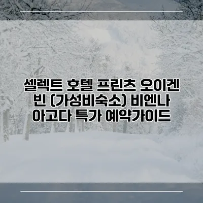 셀렉트 호텔 프린츠 오이겐 빈 (가성비숙소) 비엔나 아고다 특가 예약가이드