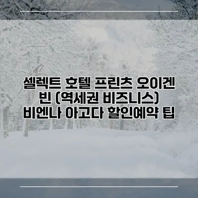 셀렉트 호텔 프린츠 오이겐 빈 (역세권 비즈니스) 비엔나 아고다 할인예약 팁