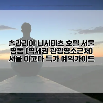 솔라리아 니시테츠 호텔 서울 명동 (역세권 관광명소근처) 서울 아고다 특가 예약가이드