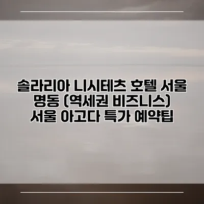 솔라리아 니시테츠 호텔 서울 명동 (역세권 비즈니스) 서울 아고다 특가 예약팁