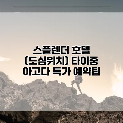스플렌더 호텔 (도심위치) 타이중 아고다 특가 예약팁