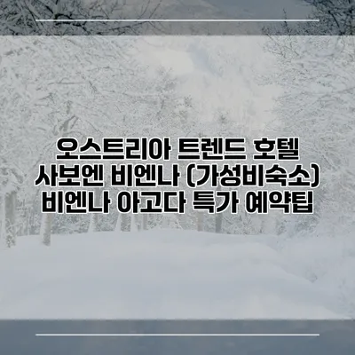 오스트리아 트렌드 호텔 사보엔 비엔나 (가성비숙소) 비엔나 아고다 특가 예약팁