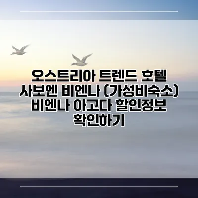 오스트리아 트렌드 호텔 사보엔 비엔나 (가성비숙소) 비엔나 아고다 할인정보 확인하기
