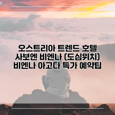 오스트리아 트렌드 호텔 사보엔 비엔나 (도심위치) 비엔나 아고다 특가 예약팁