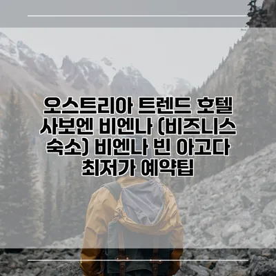 오스트리아 트렌드 호텔 사보엔 비엔나 (비즈니스 숙소) 비엔나 빈 아고다 최저가 예약팁