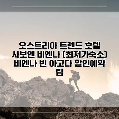 오스트리아 트렌드 호텔 사보엔 비엔나 (최저가숙소) 비엔나 빈 아고다 할인예약 팁
