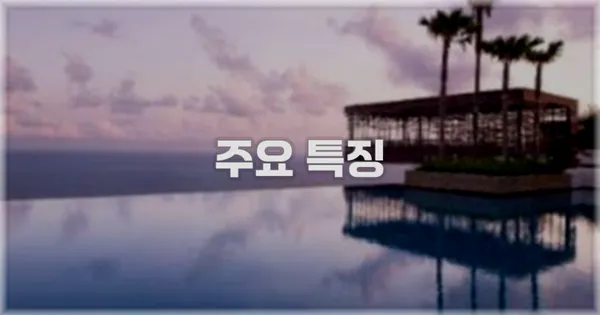 ✨ 주요 특징