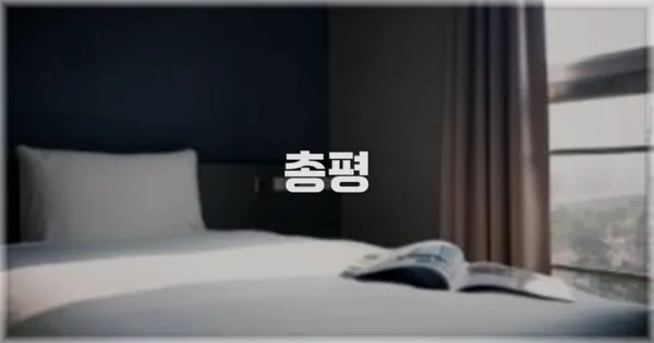 총평