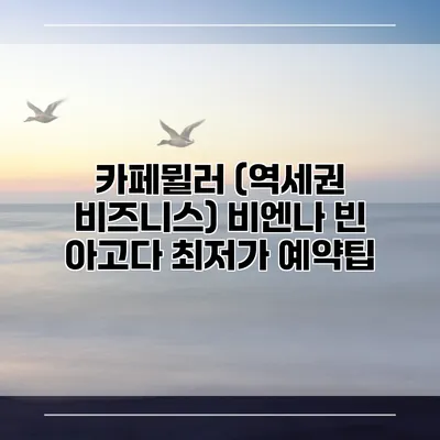 카페뮐러 (역세권 비즈니스) 비엔나 빈 아고다 최저가 예약팁