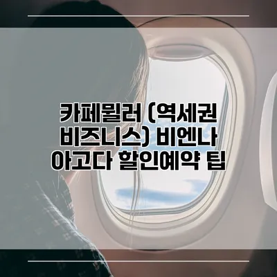 카페뮐러 (역세권 비즈니스) 비엔나 아고다 할인예약 팁