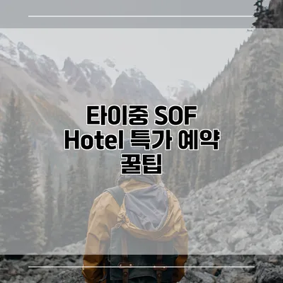타이중 SOF Hotel 특가 예약 꿀팁