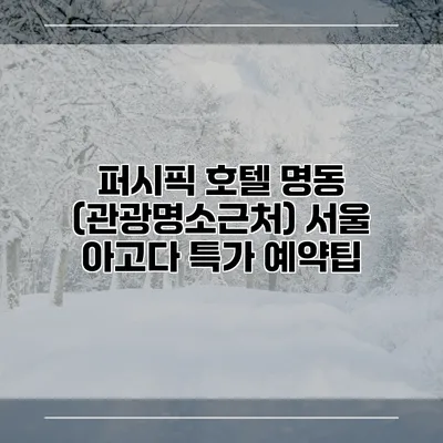 퍼시픽 호텔 명동 (관광명소근처) 서울 아고다 특가 예약팁