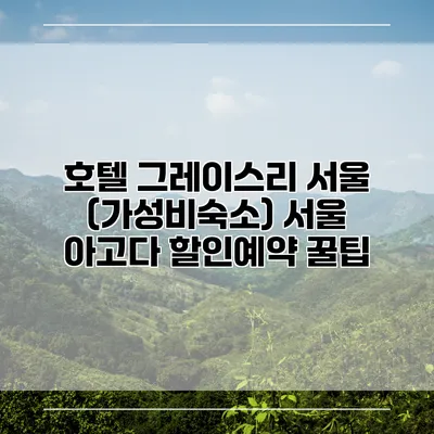 호텔 그레이스리 서울 (가성비숙소) 서울 아고다 할인예약 꿀팁