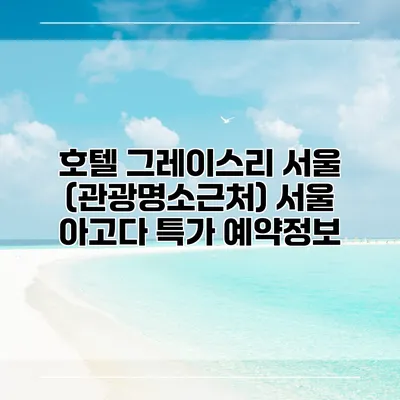 호텔 그레이스리 서울 (관광명소근처) 서울 아고다 특가 예약정보