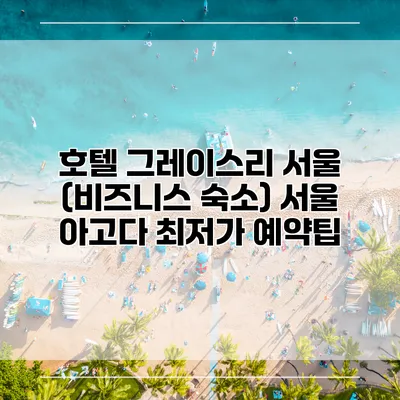 호텔 그레이스리 서울 (비즈니스 숙소) 서울 아고다 최저가 예약팁
