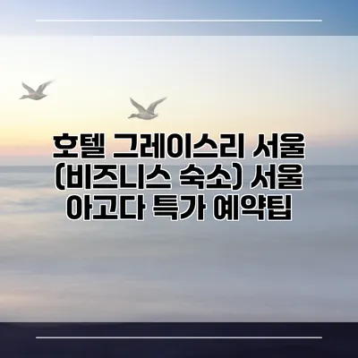 호텔 그레이스리 서울 (비즈니스 숙소) 서울 아고다 특가 예약팁