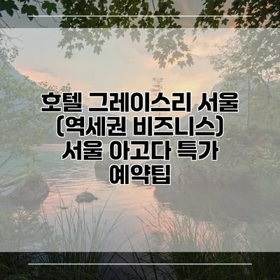 호텔 그레이스리 서울 (역세권 비즈니스) 서울 아고다 특가 예약팁