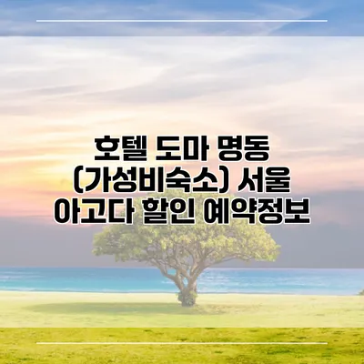 호텔 도마 명동 (가성비숙소) 서울 아고다 할인 예약정보