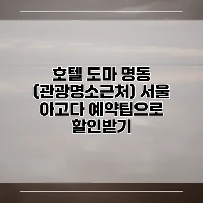호텔 도마 명동 (관광명소근처) 서울 아고다 예약팁으로 할인받기