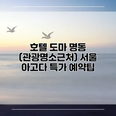 호텔 도마 명동 (관광명소근처) 서울 아고다 특가 예약팁
