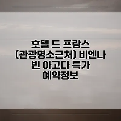 호텔 드 프랑스 (관광명소근처) 비엔나 빈 아고다 특가 예약정보