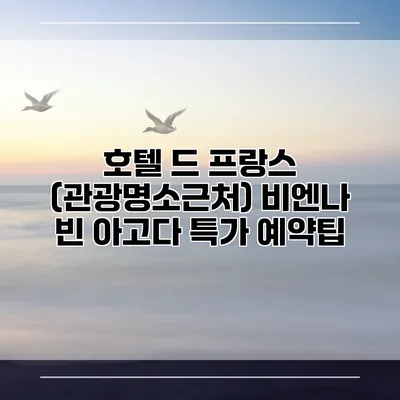 호텔 드 프랑스 (관광명소근처) 비엔나 빈 아고다 특가 예약팁