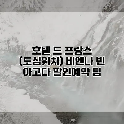 호텔 드 프랑스 (도심위치) 비엔나 빈 아고다 할인예약 팁