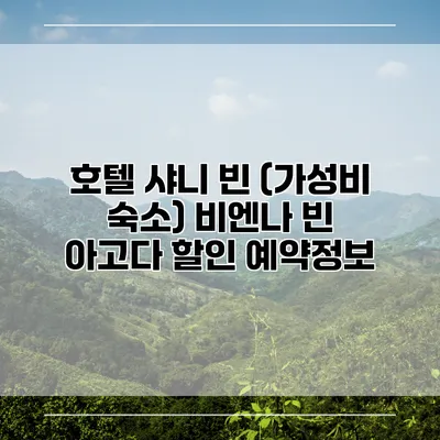 호텔 샤니 빈 (가성비 숙소) 비엔나 빈 아고다 할인 예약정보