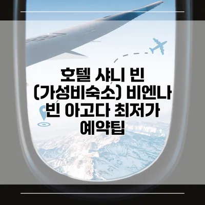호텔 샤니 빈 (가성비숙소) 비엔나 빈 아고다 최저가 예약팁