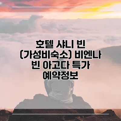 호텔 샤니 빈 (가성비숙소) 비엔나 빈 아고다 특가 예약정보