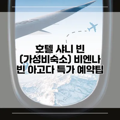 호텔 샤니 빈 (가성비숙소) 비엔나 빈 아고다 특가 예약팁
