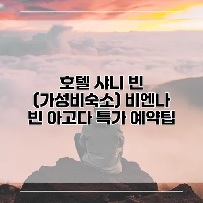 호텔 샤니 빈 (가성비숙소) 비엔나 빈 아고다 특가 예약팁