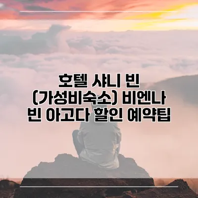호텔 샤니 빈 (가성비숙소) 비엔나 빈 아고다 할인 예약팁