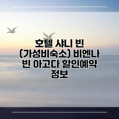호텔 샤니 빈 (가성비숙소) 비엔나 빈 아고다 할인예약 정보