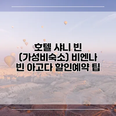 호텔 샤니 빈 (가성비숙소) 비엔나 빈 아고다 할인예약 팁