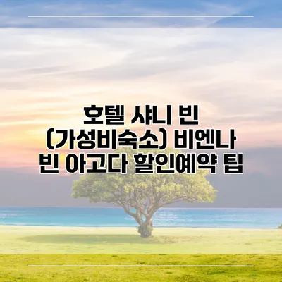호텔 샤니 빈 (가성비숙소) 비엔나 빈 아고다 할인예약 팁