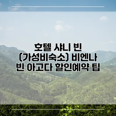 호텔 샤니 빈 (가성비숙소) 비엔나 빈 아고다 할인예약 팁