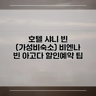 호텔 샤니 빈 (가성비숙소) 비엔나 빈 아고다 할인예약 팁