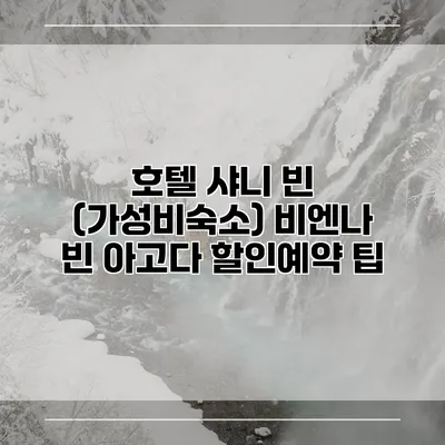 호텔 샤니 빈 (가성비숙소) 비엔나 빈 아고다 할인예약 팁