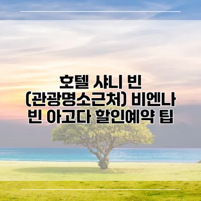 호텔 샤니 빈 (관광명소근처) 비엔나 빈 아고다 할인예약 팁