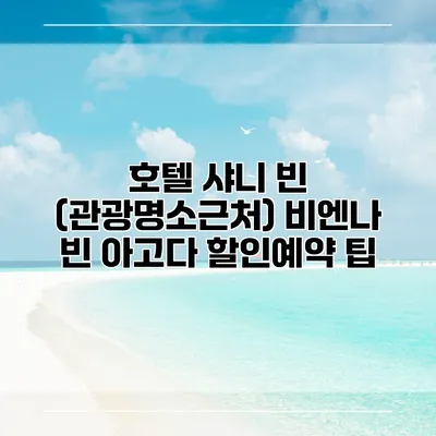 호텔 샤니 빈 (관광명소근처) 비엔나 빈 아고다 할인예약 팁